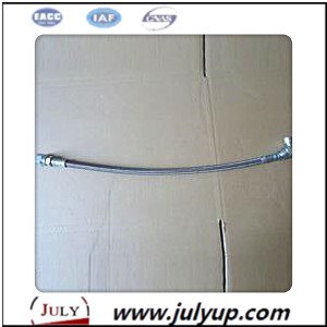 Flexible Hose 4899794