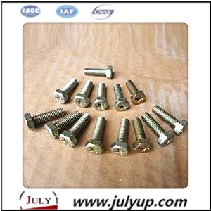 Bolt Q174B0620