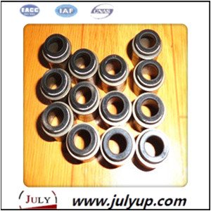 Valve guide oil seal 13207 v1700
