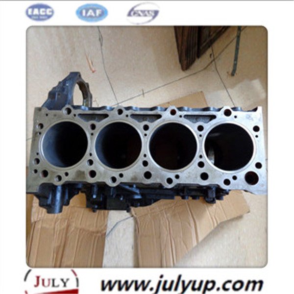 Cylinder Block 4110Z.02.10