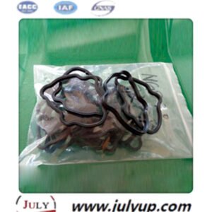 Injector Seals 70490860