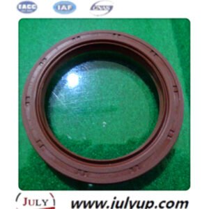 Front Oil Seal NGD3.0