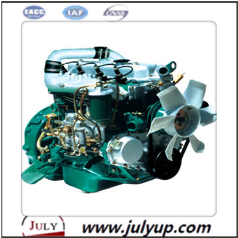 Choachai DCD Diesel Engine Assembly 4102BZD
