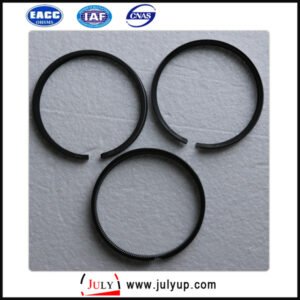 Dongfeng 12041 1W400CZ piston ring