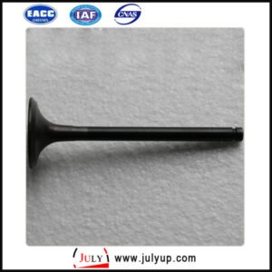 Dongfeng 13202 1W400 exhaust valve