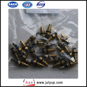 Dongfeng 25080-89903 temperature sensor