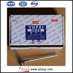 Dongfeng F3000-1003103B exhaust valve