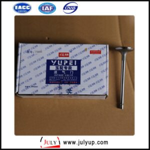 Dongfeng F3000-1003111A intake valve