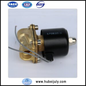 2W-160-15 solenoid valve