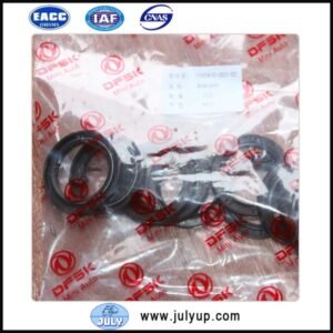 DK15 engine crankshaft oil seal 1000410-C03-00 DFSK