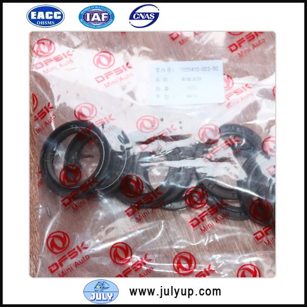 DK15 engine crankshaft oil seal 1000410-C03-00 DFSK