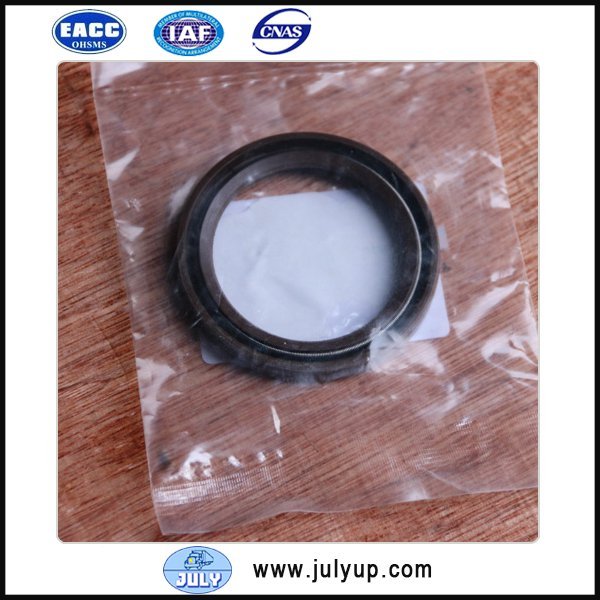 DFSK DK13-06 engine parts crankshaft rear oil seal 1000510-D00-00