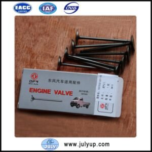 Intake valve 1007032-E01-00 DFSK DK15 engine part