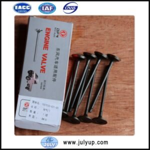Exhaust Valve 1007033-E01-00 Dongfeng Minibus DK15