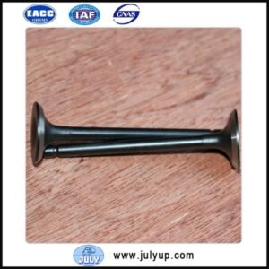 DFSK K07 minibus exhaust valve EQ474i.1007012