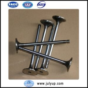 Exhaust Valve DCEC Cummins QSL engine 5259419