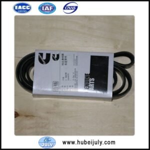 8PK2155 engine v belt 3289897