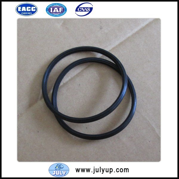 Foton Cummins ISF2.8 thermostat washer 5257077