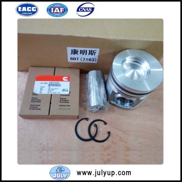 Cummins 6BT engine piston kit