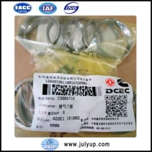 Exhaust Valve Insert 3904716
