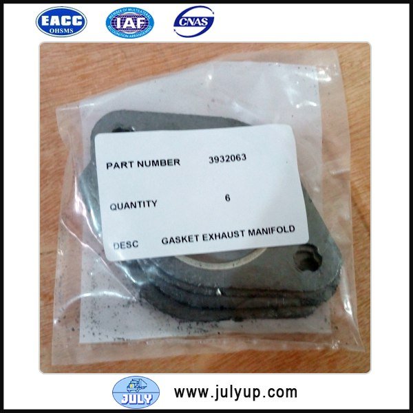 exhaust pipe gasket 3932063