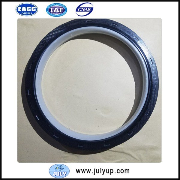 Crankshaft oil seal kit 3933262