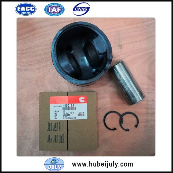Cummins ISDE engine piston kit 4955337