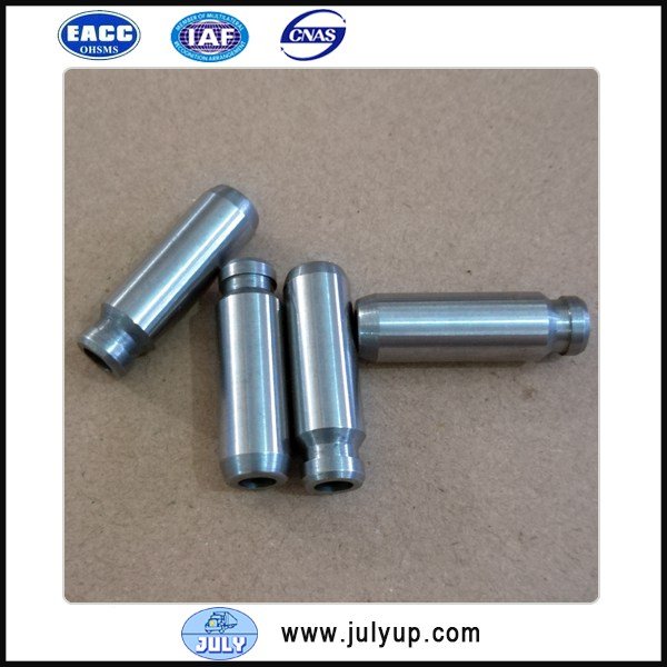 Valve guide 10070300D0000