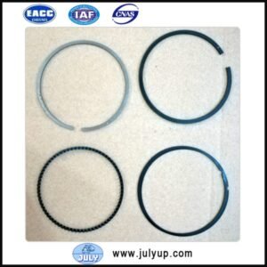 Kit Piston Ring EQ474i.1004030