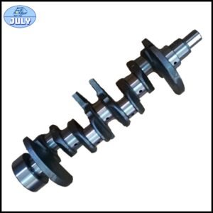 Crankshaft 1000000B0301 1005022E0100