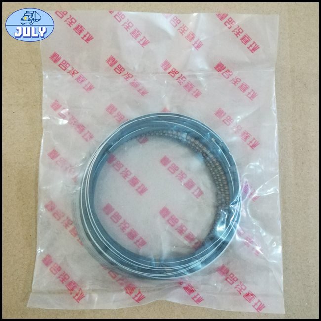 Piston ring 1004028E0100
