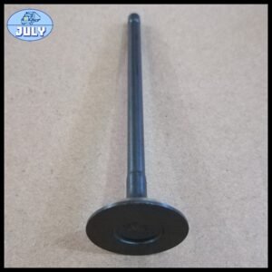 Exhaust valve 1021600E0100