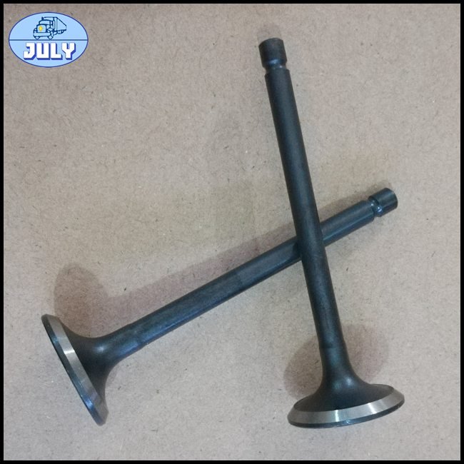Exhaust valve EQ474i-1007012