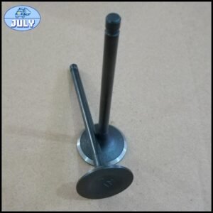 Intake valve EQ474i-1007014