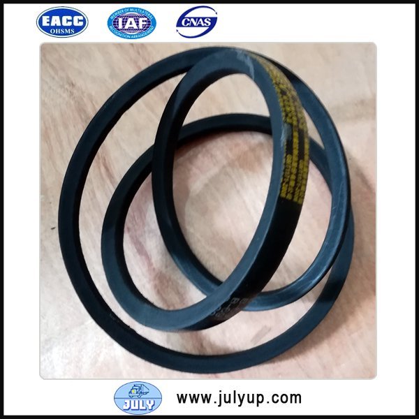 Engine Belt B69