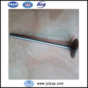 Inlet valve 5308264 5261320