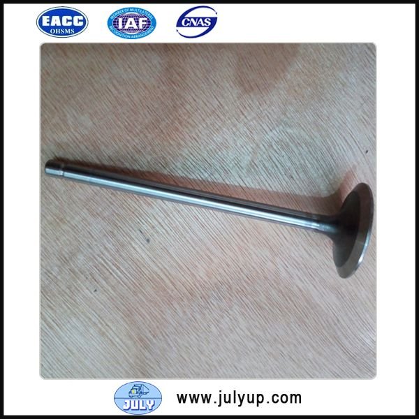 Inlet valve 5308264 5261320