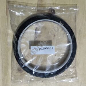 rear oil seal D5010295831
