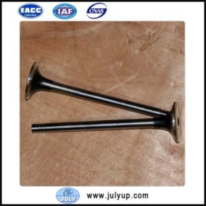 Exhaust valve 145701