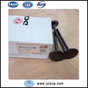 Intake valve 3924492