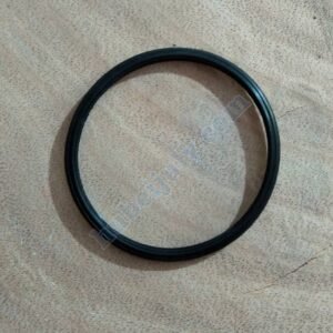 Thermostat seal 3954829 5257077