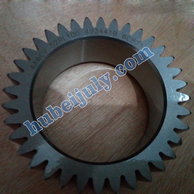 Cummins engine crankshaft gear 4934419