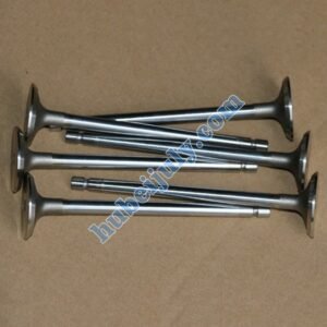 Cummins QSL intake exhaust valve 4089762 4089761