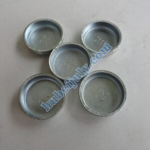 Cummins 6CT Bowl plug 143066