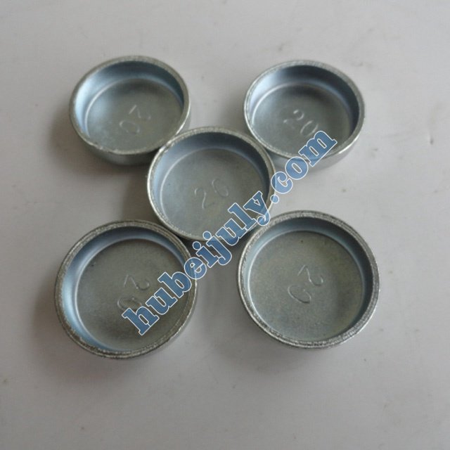 Cummins 6CT Bowl plug 143066