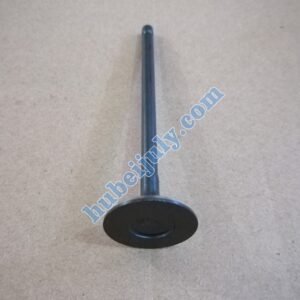 DFSK DK13 exhaust valve 1007034-D00-00