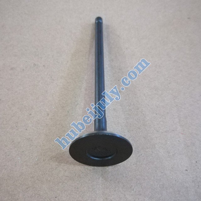 DFSK DK13 exhaust valve 1007034-D00-00