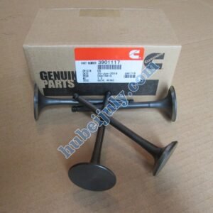Cummins 6BT intake valve 3901117 4995554