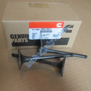 Cummins 6BT exhaust valve 3901607 4994143