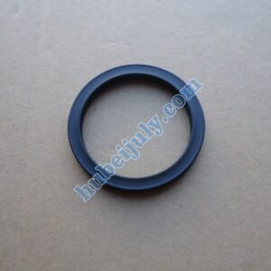 Foton Cummins seal 5269879 4990818
